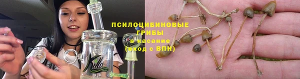 спиды Осинники