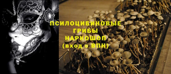 apvp Остров