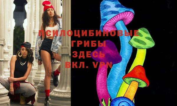 спиды Осинники
